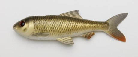 5740042500124 PULZBAIT Roach Kit 20cm - Crucian Carp