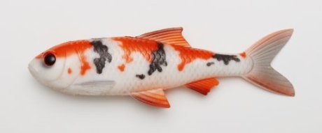 5740042500131 PULZBAIT Roach Kit 20cm - Koi Carp