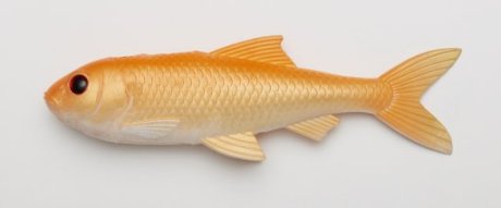 5740042500148 PULZBAIT Roach Kit 20cm - Gold Fish