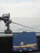 ACY-PLV-001 Ping Live