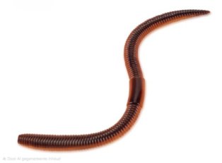 ME15 Meerval.shop vers réutilisables attrayants. 10psc