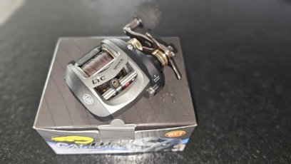 WFT CAT BUSTER WFT CATBUSTER BC 1D-A 292-100